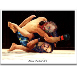 C534 - Mixed Martial Art